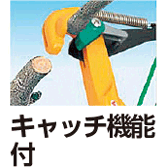 公式通販店 ムサシ 4954849103452 Muasshi ロープ式高枝切鋏 キャッチ