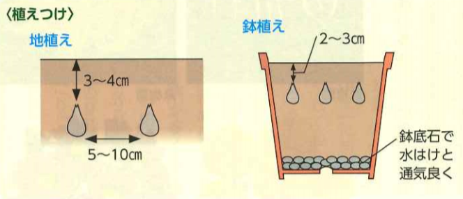 大和農園オンラインショップ