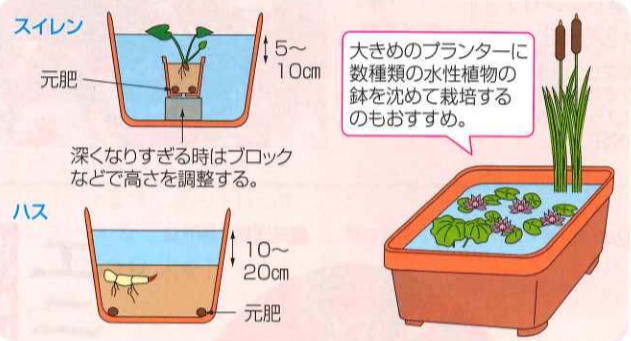 大和農園オンラインショップ