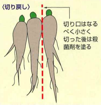 大和農園オンラインショップ