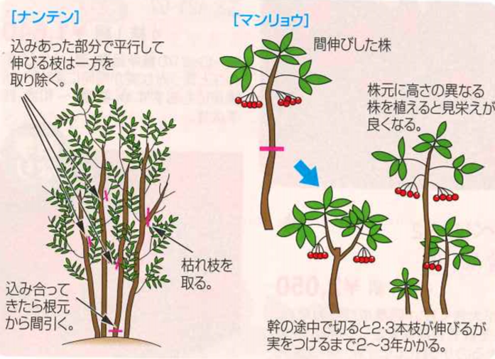 大和農園オンラインショップ