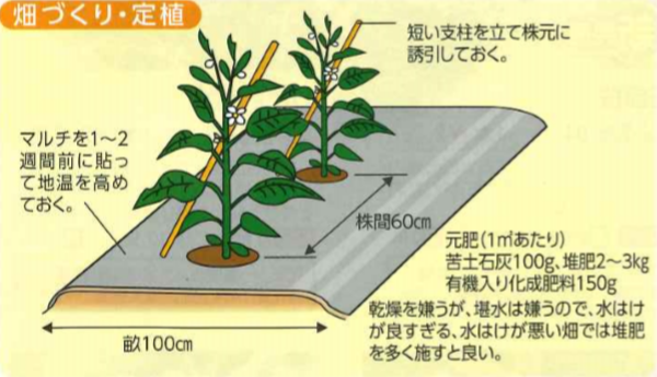 大和農園オンラインショップ