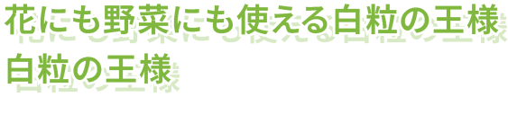 花にも野菜にも使える白粒の王様
白粒の王様