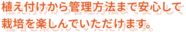 植え付けから管理方法まで安心して 栽培を楽しんでいただけます。