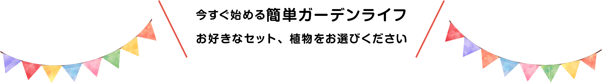 今すぐ始める簡単ガーデンライフ お好きなセット、植物をお選びください
