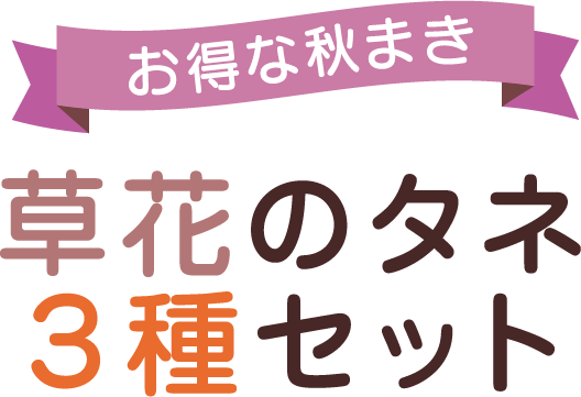 お得な秋まき　草花のタネ３種セット