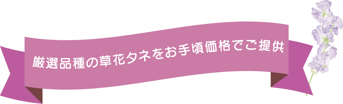 厳選品種の草花タネをお手頃価格でご提供