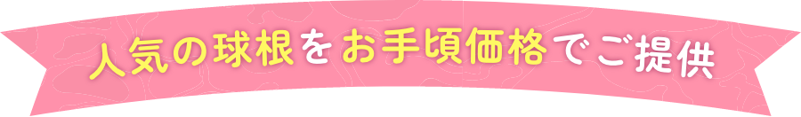 厳選品種の草花タネをお手頃価格でご提供