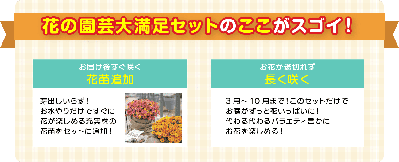 花の園芸大満足セットのここがスゴイ！ お届け後すぐ咲く花苗追加 お花が途切れず長く咲く