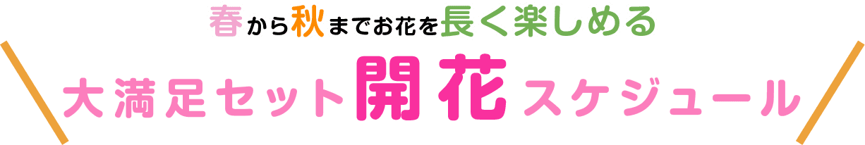 春から秋までお花を長く楽しめる 大満足セット開花スケジュール