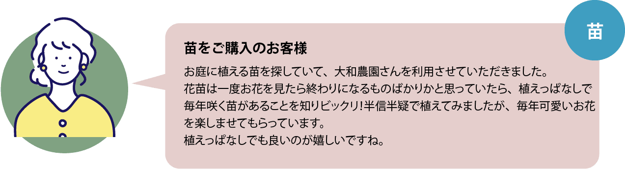 苗をご購入のお客様 お庭に植える苗を探していて、大和農園さんを利用させていただきました。花苗は一度お花を見たら終わりになるものばかりかと思っていたら、植えっぱなしで毎年咲く苗があることを知りビックリ！半信半疑で植えてみましたが、毎年可愛いお花を楽しませてもらっています。植えっぱなしでも良いのが嬉しいですね。