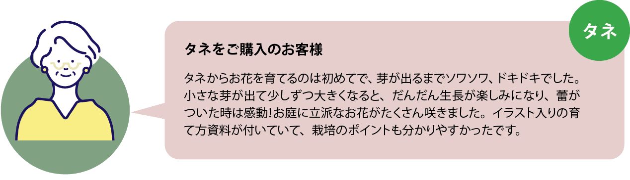 タネをご購入のお客様 タネからお花を育てるのは初めてで、芽が出るまでソワソワ、ドキドキでした。小さな芽が出て少しずつ大きくなると、だんだん生長が楽しみになり、蕾がついた時は感動！お庭に立派なお花がたくさん咲きました。イラスト入りの育て方資料が付いていて、栽培のポイントも分かりやすかったです。