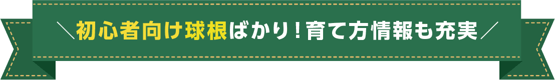 初心者向け球根ばかり！育て方情報も充実