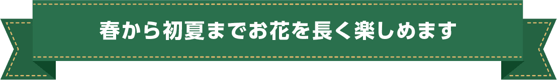 春から初夏までお花を長く楽しめます