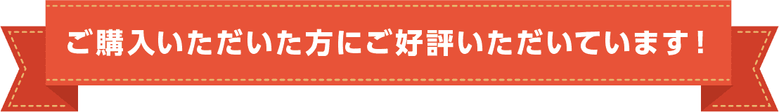 ご購入いただいた方にご好評いただいています!