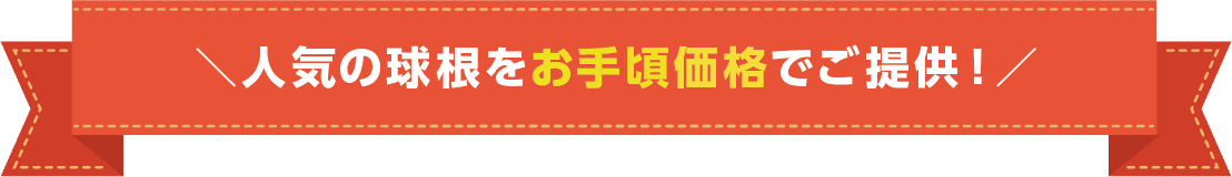 人気の球根をお手頃価格でご提供!
