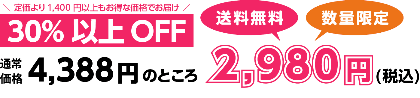 30%以上OFF 2,980円(税込)