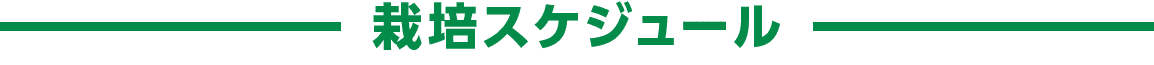 栽培スケジュール
