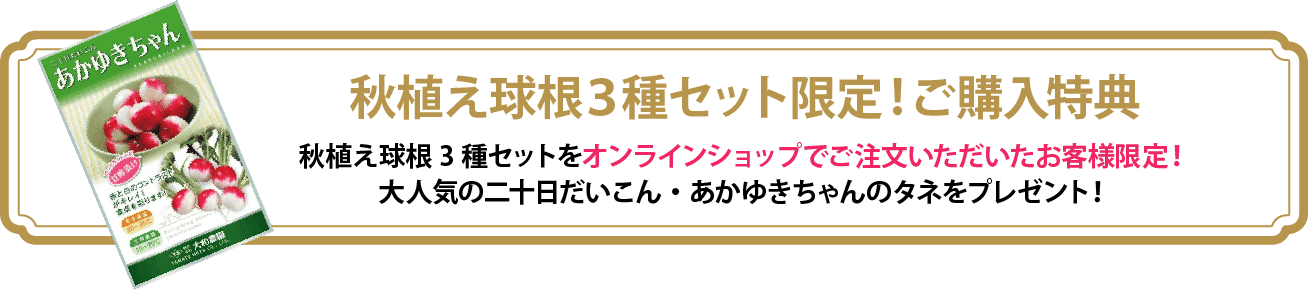 秋植え球根3種セット限定!ご購入特典