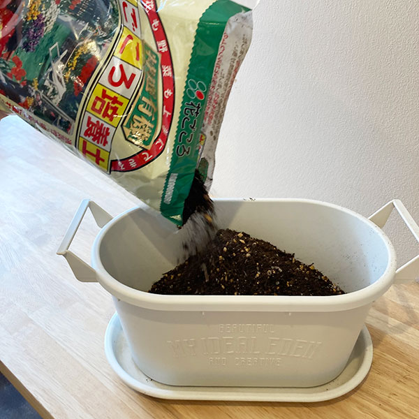 培養土を入れる