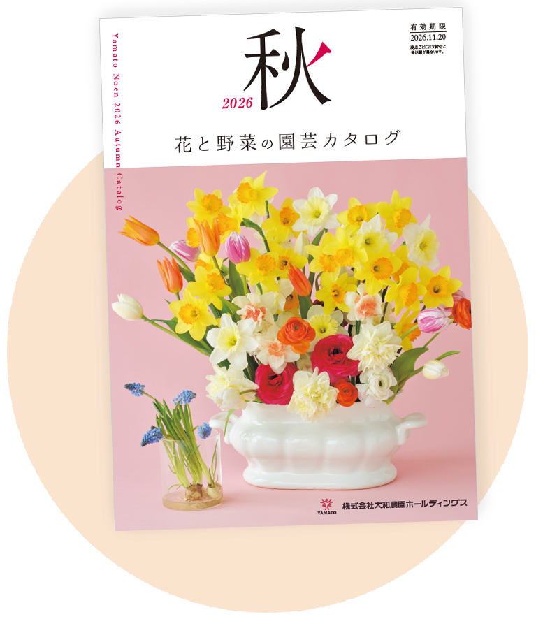 大和農園 園芸カタログ 表紙