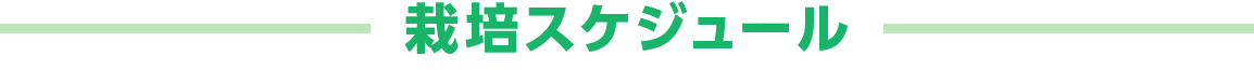 栽培スケジュール